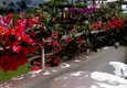 Dostępny zakup Mieszkanie pod klucz w kompleksie z bogatą infrastrukturą — Mahmutlar, Alanya 29 