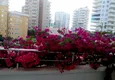 Dostępny zakup Mieszkanie pod klucz w kompleksie z bogatą infrastrukturą — Mahmutlar, Alanya 30 