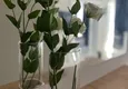 Dostępny zakup Jednopokojowy apartament z meblami w centrum Alanyi  6 