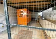 Kupić Apartament Linear 3+1 z oddzielną kuchnią, nowymi meblami i częściowym widokiem na morze - dzielnica Mahmutlar, Alanya 8 
