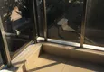 Dostępny zakup Apartament Linear 3+1 z oddzielną kuchnią w Antalya, dzielnica Dosemealti 20