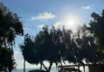 Kupić Elegancka umeblowana willa w kompleksie mieszkalnym nad brzegiem morza - dzielnica Payallar, Alanya 8