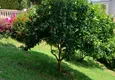 Dostępny zakup Kamienica dla dwóch właścicieli - apartament z ogrodem i panoramicznym widokiem w kompleksie hotelowym, Mahmutlar 10