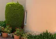 Dostępny zakup Kamienica dla dwóch właścicieli - apartament z ogrodem i panoramicznym widokiem w kompleksie hotelowym, Mahmutlar 5