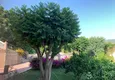 Dostępny zakup Kamienica dla dwóch właścicieli - apartament z ogrodem i panoramicznym widokiem w kompleksie hotelowym, Mahmutlar 9