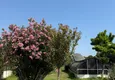 Kupić Nowo umeblowane trzypokojowe mieszkanie po remoncie w kompleksie mieszkalnym nad rzeką, Kestel, Alanya 16