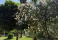 Kupić Nowo umeblowane trzypokojowe mieszkanie po remoncie w kompleksie mieszkalnym nad rzeką, Kestel, Alanya 17