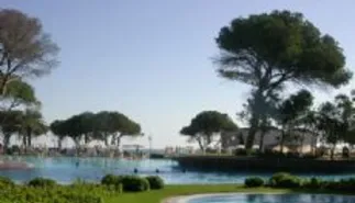 Młody i atrakcyjny Belek 
