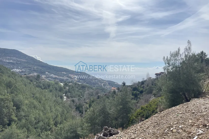 Prywatna willa 10+2 z ogrodem z awokado i panoramicznym widokiem w Tepe, Alanya - odpowiednia na zezwolenie na pobyt i obywatelstwo 16 