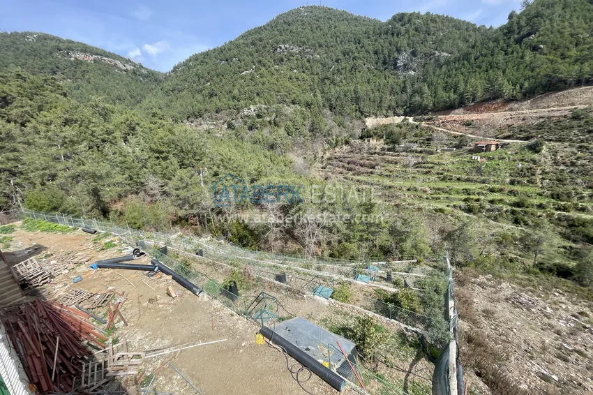 Prywatna willa 10+2 z ogrodem z awokado i panoramicznym widokiem w Tepe, Alanya - odpowiednia na zezwolenie na pobyt i obywatelstwo 2 