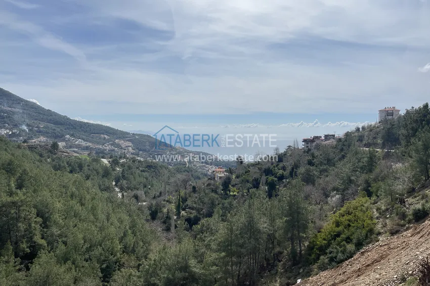 Kupuj  Prywatna willa 10+2 z ogrodem z awokado i panoramicznym widokiem w Tepe, Alanya - odpowiednia na zezwolenie na pobyt i obywatelstwo 76 