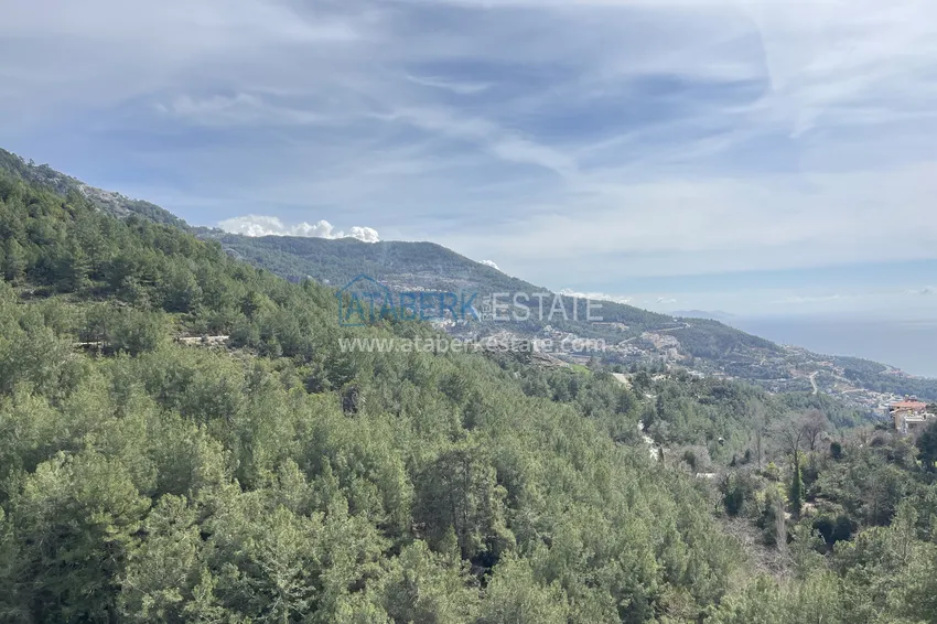Kupuj  Prywatna willa 10+2 z ogrodem z awokado i panoramicznym widokiem w Tepe, Alanya - odpowiednia na zezwolenie na pobyt i obywatelstwo 77 