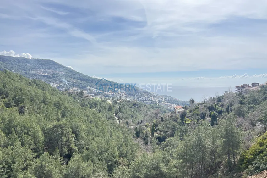 Kupuj  Prywatna willa 10+2 z ogrodem z awokado i panoramicznym widokiem w Tepe, Alanya - odpowiednia na zezwolenie na pobyt i obywatelstwo 78 