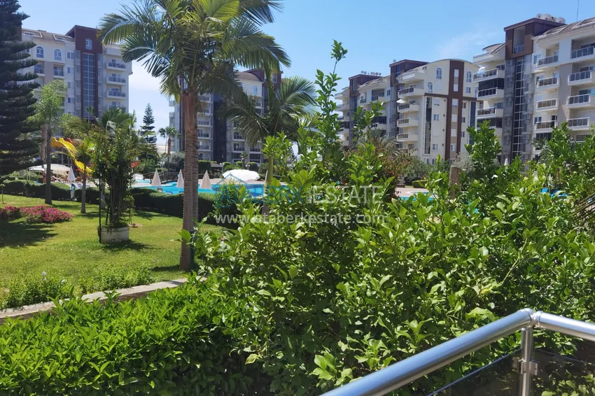Kupuj  Długoterminowy wynajem apartamentu 2+1 z widokiem na basen — Alanya, Avsallar A9 21 