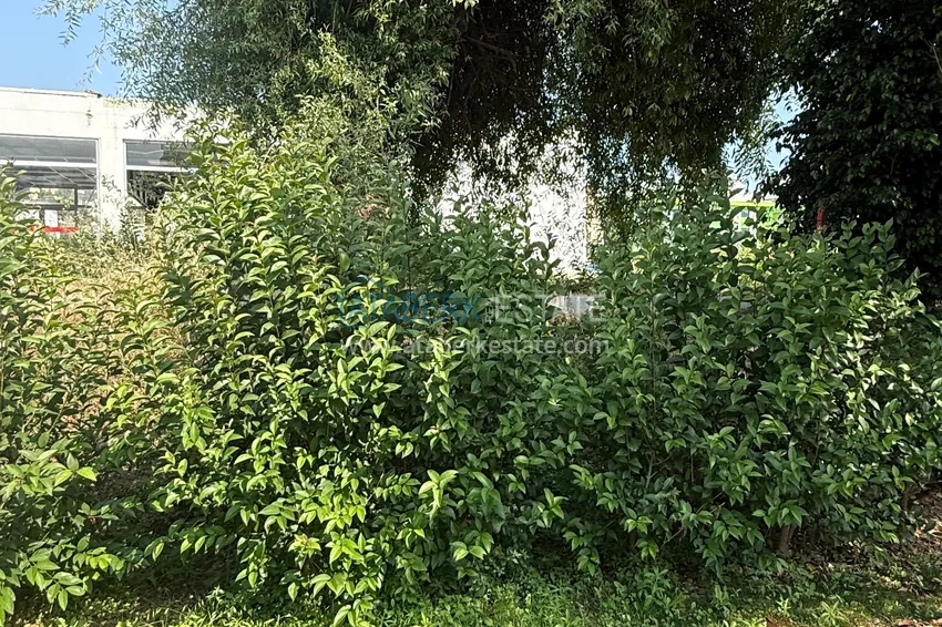 Nowo umeblowane trzypokojowe mieszkanie po remoncie w kompleksie mieszkalnym nad rzeką, Kestel, Alanya 18 