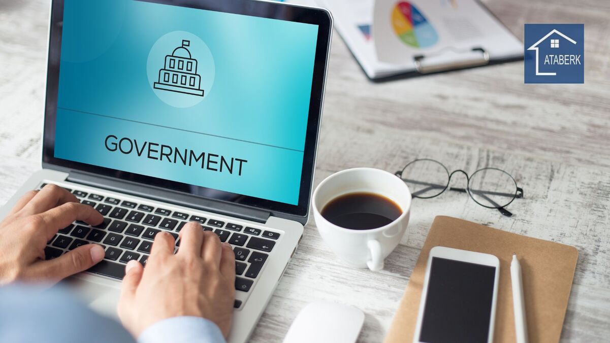 Что такое e-Devlet в Турции